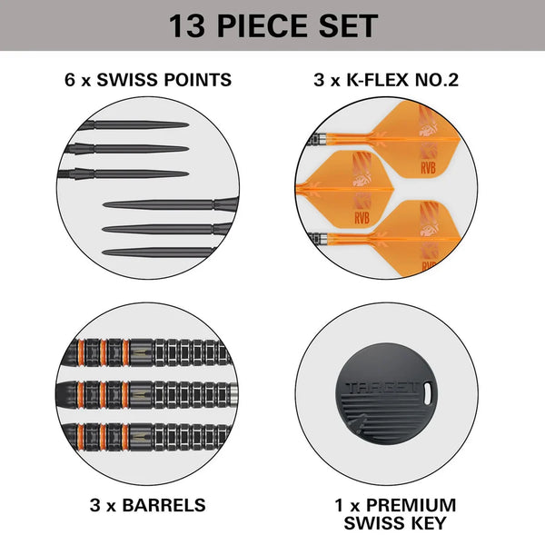 Target Barney Raymond van Barneveld RvB 95K Swiss Point Tungsten Steel Tip Darts 23g
